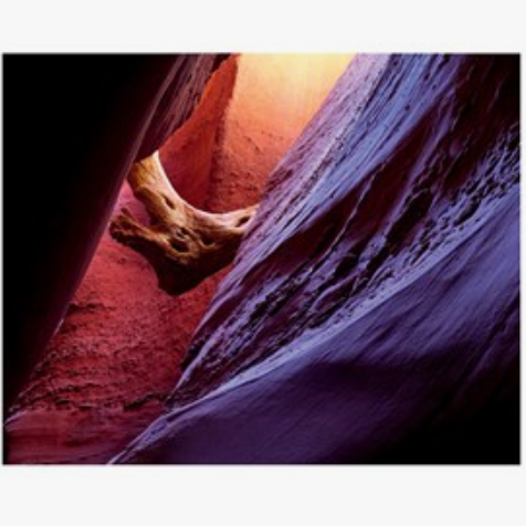 Wild Spaces and Unique Places Book