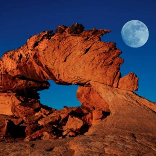 Wild Spaces and Unique Places Book