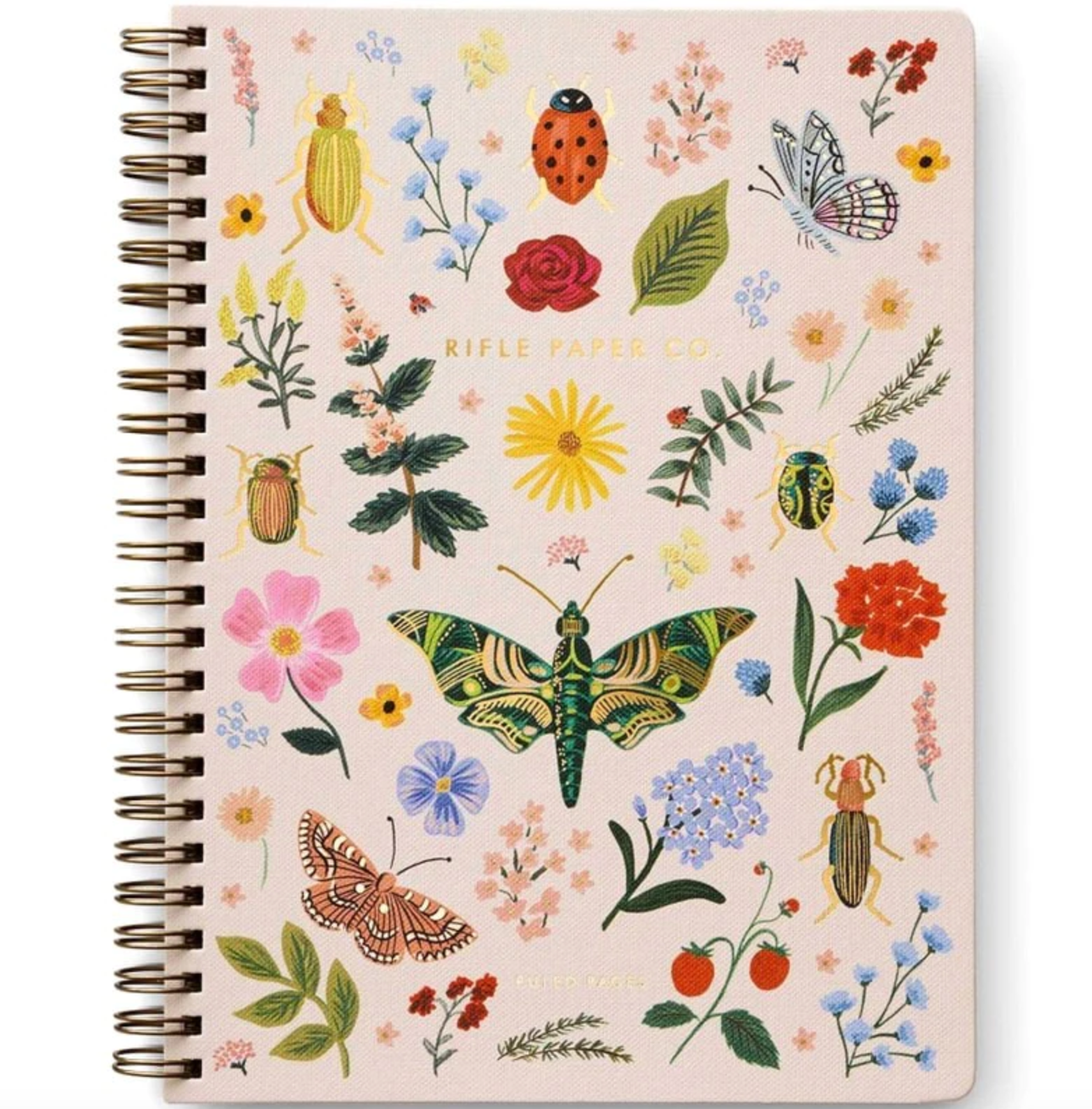 Curio Spiral Notebook