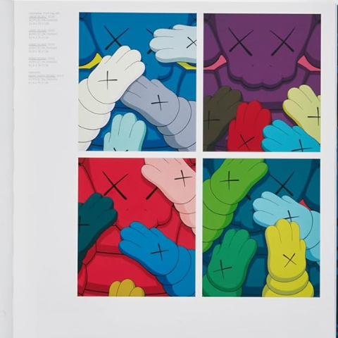 Kaws Book
