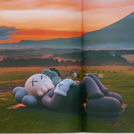Kaws Book