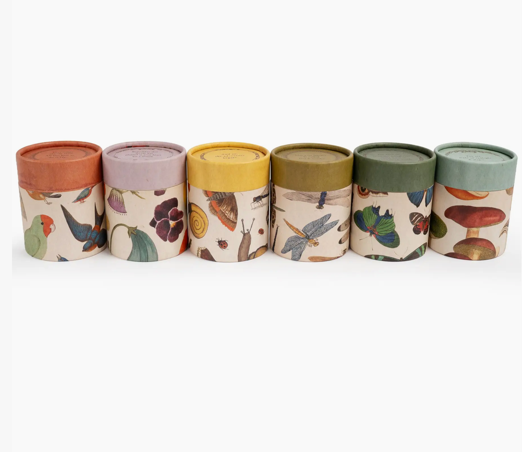Flora Fauna  Candles