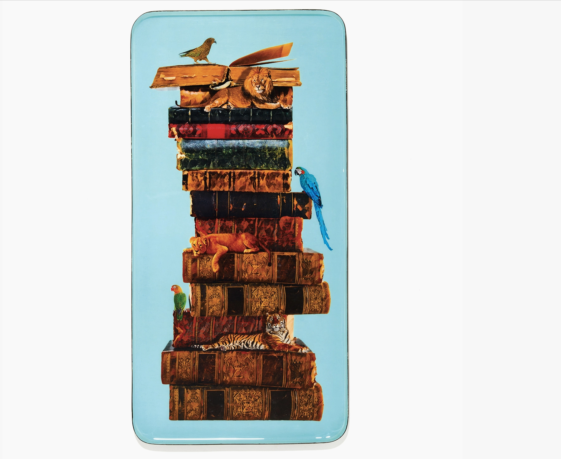 Animal Book Tray