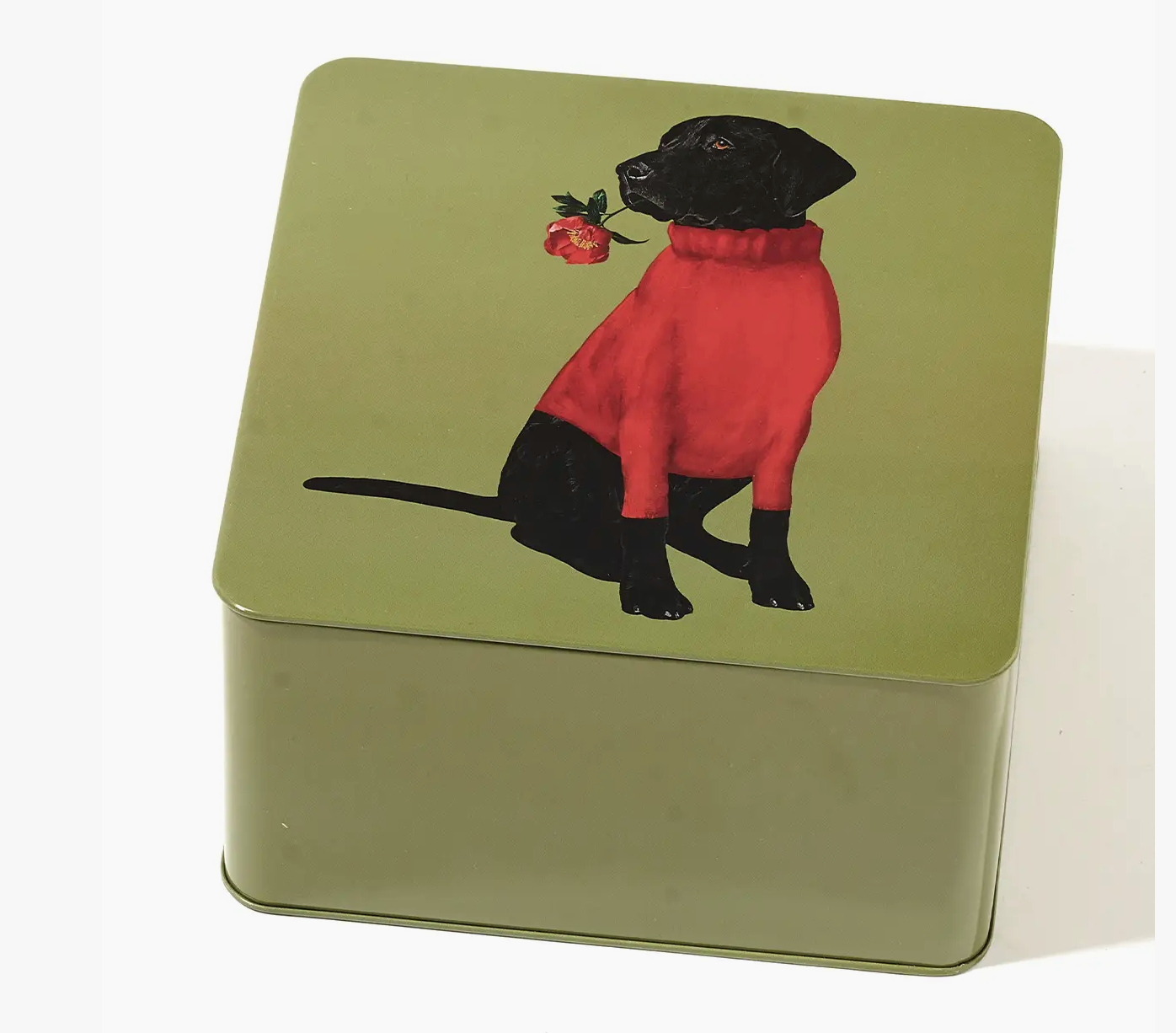 Black Dog Box