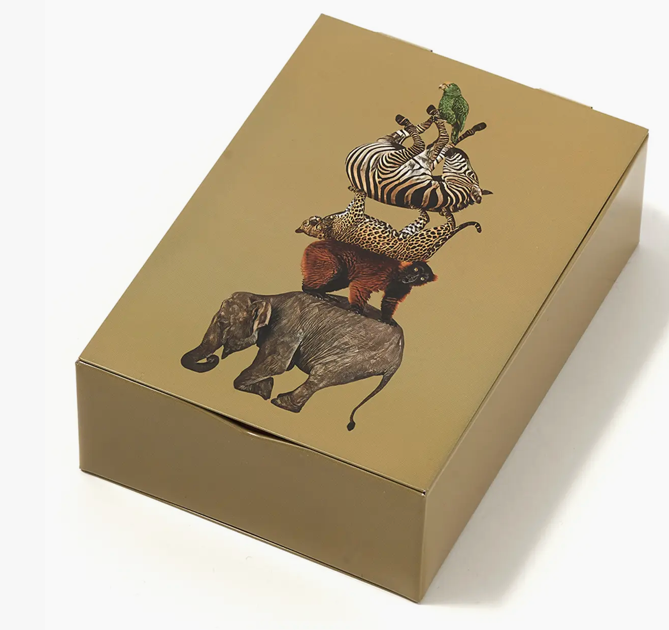 Culb Animals Box