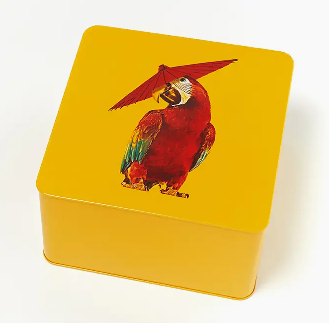 Parrot Box