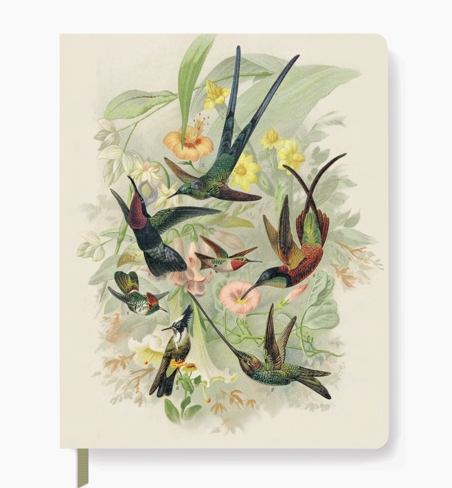 Hummingbird Journal