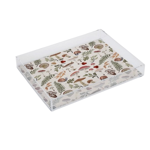 Small Acrylic Tray