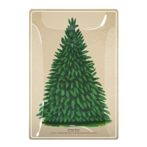 Decoupage Glass Tray - Small