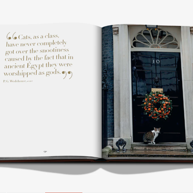 Chic Cats Book
