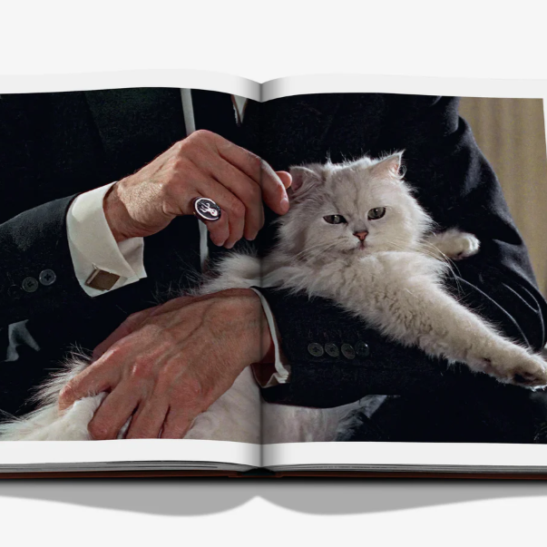 Chic Cats Book