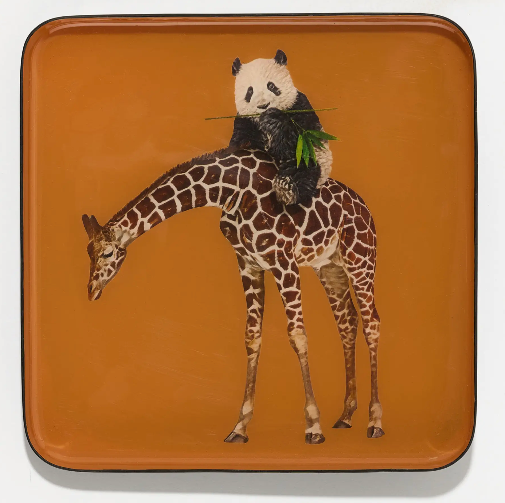 Bandipanda Tray