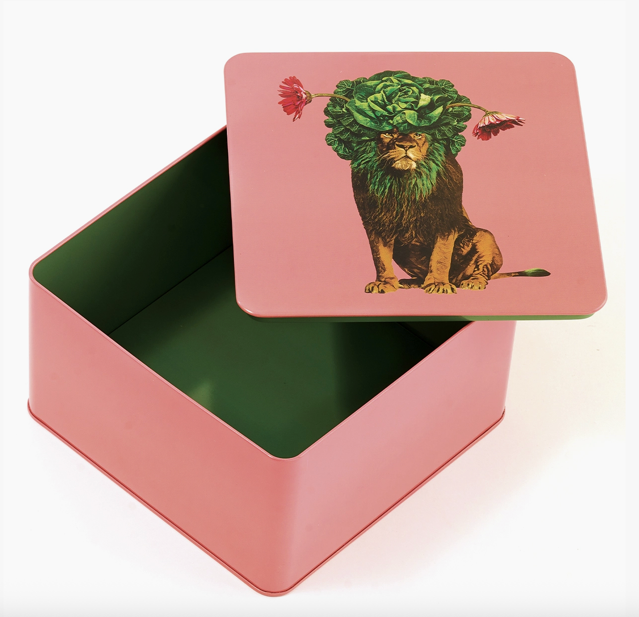 Leo Box