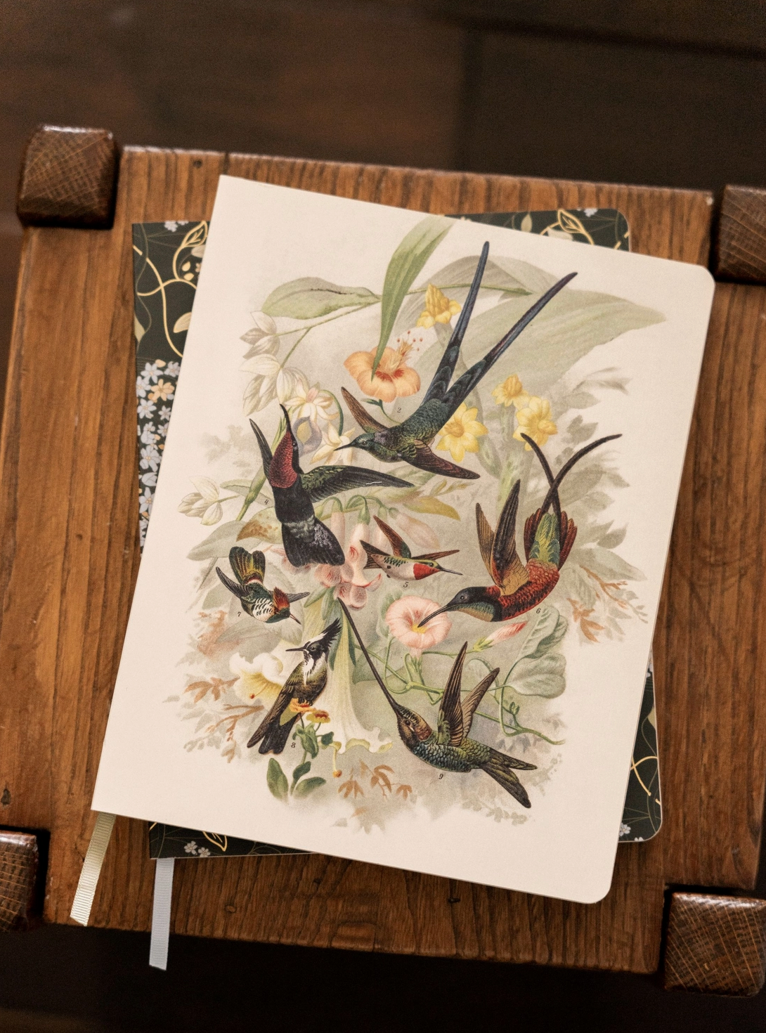 Hummingbird Journal