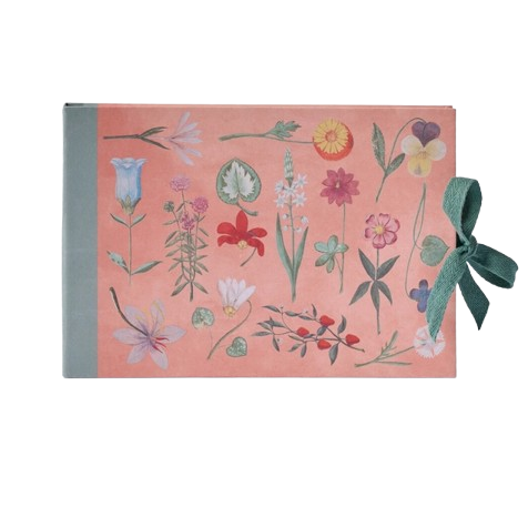 Floral Sketchbook