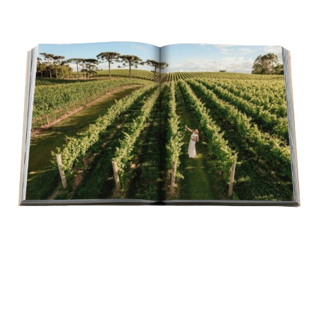 Wine & Travel Latin America