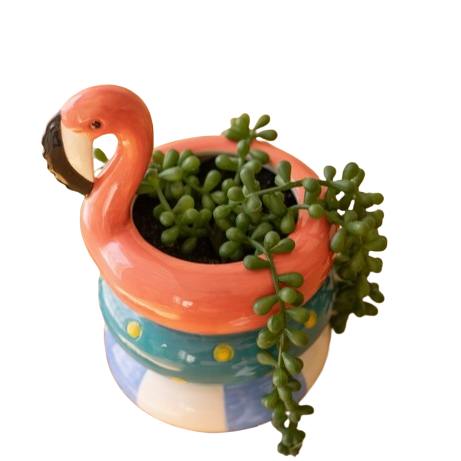 Swimming Vase