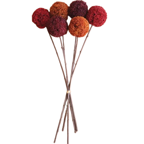 Allium Ball Stem Bouquet