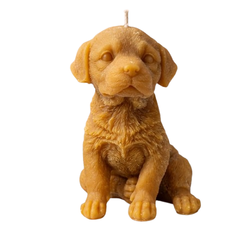 Labrador Puppy Candle