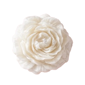 Peony Candle