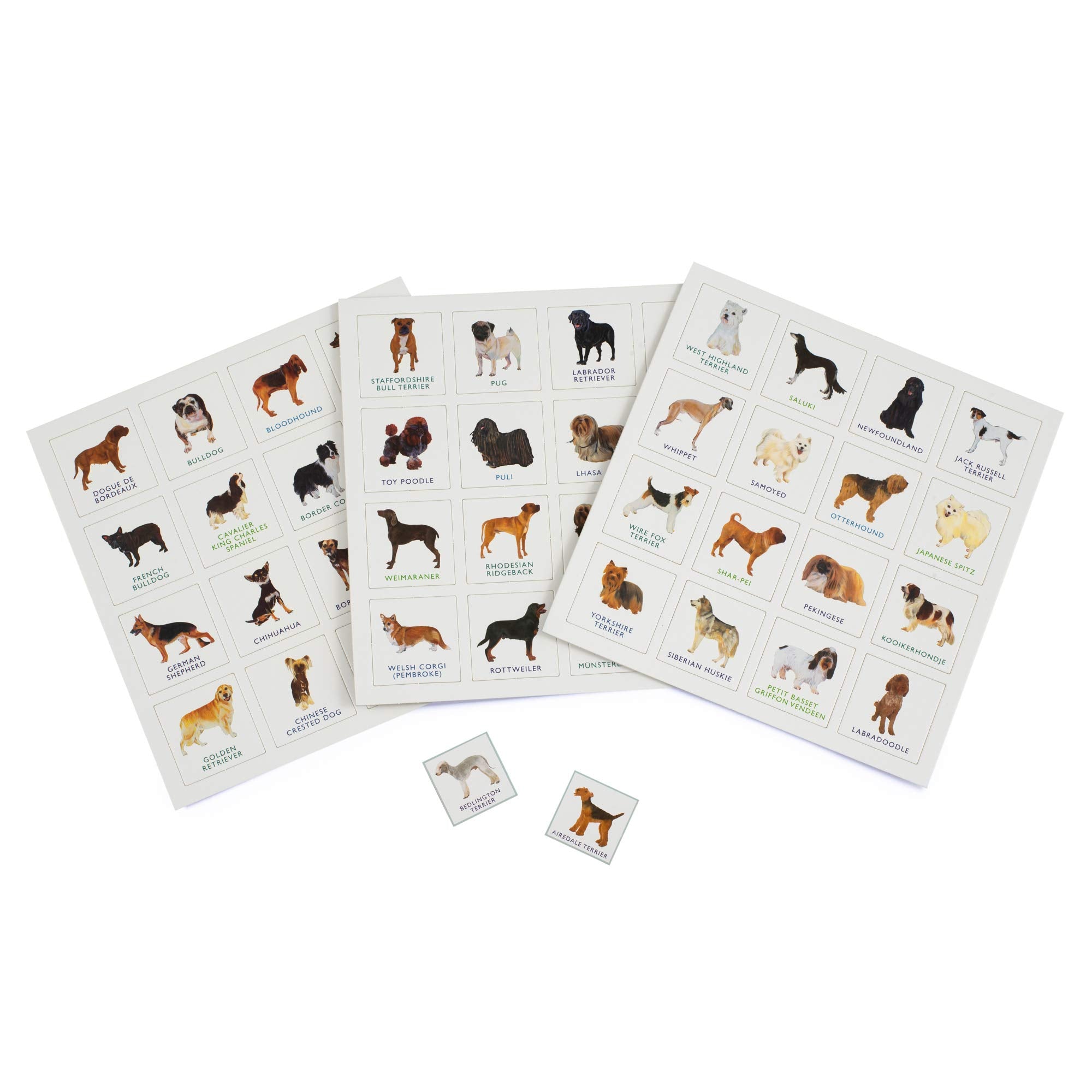 Dog Bingo