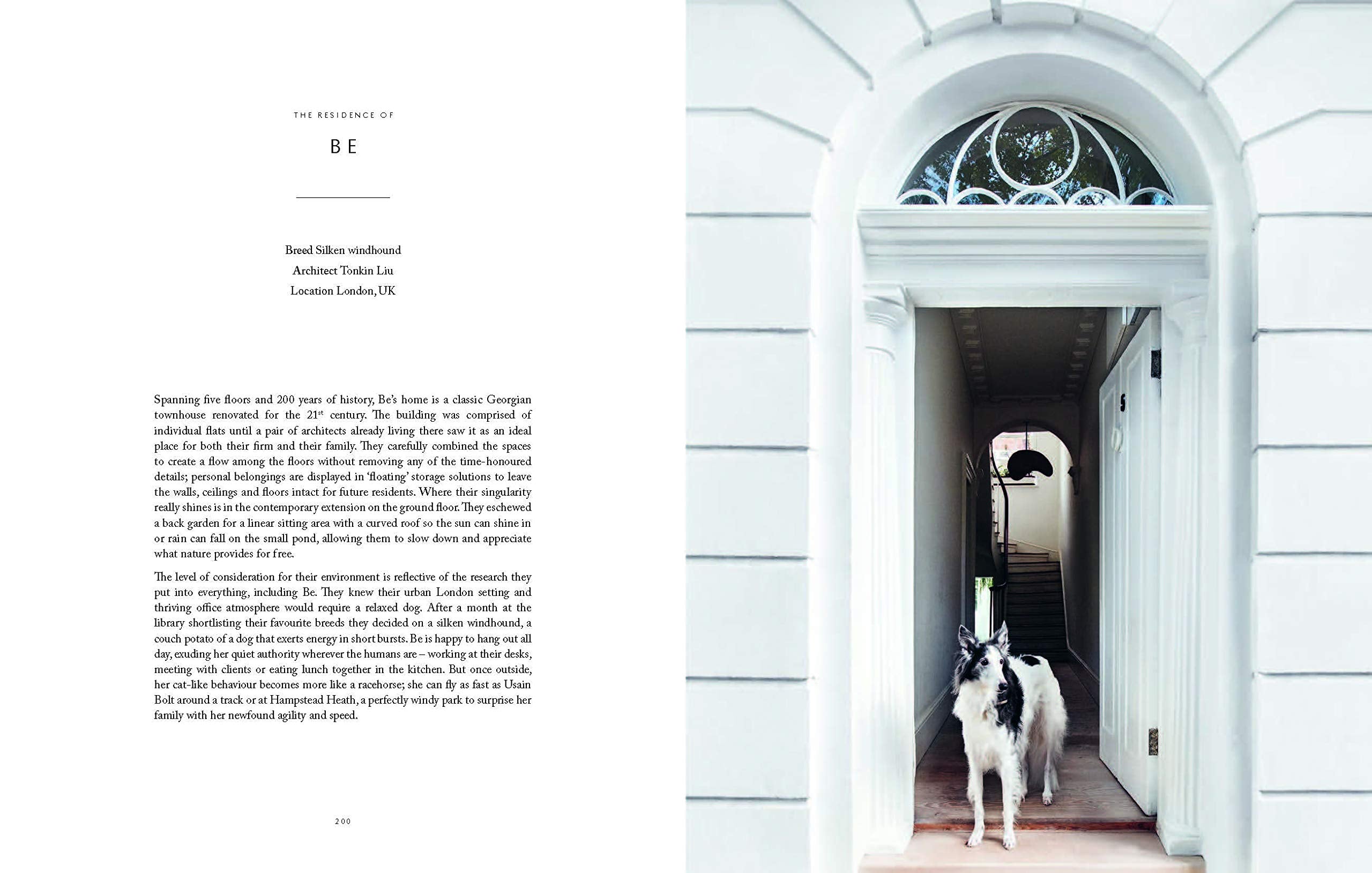 Resident Dog - Volume 2