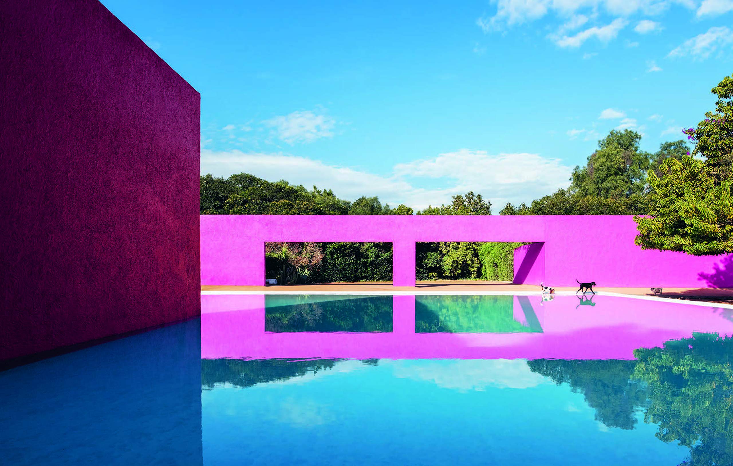 Resident Dog - Volume 2