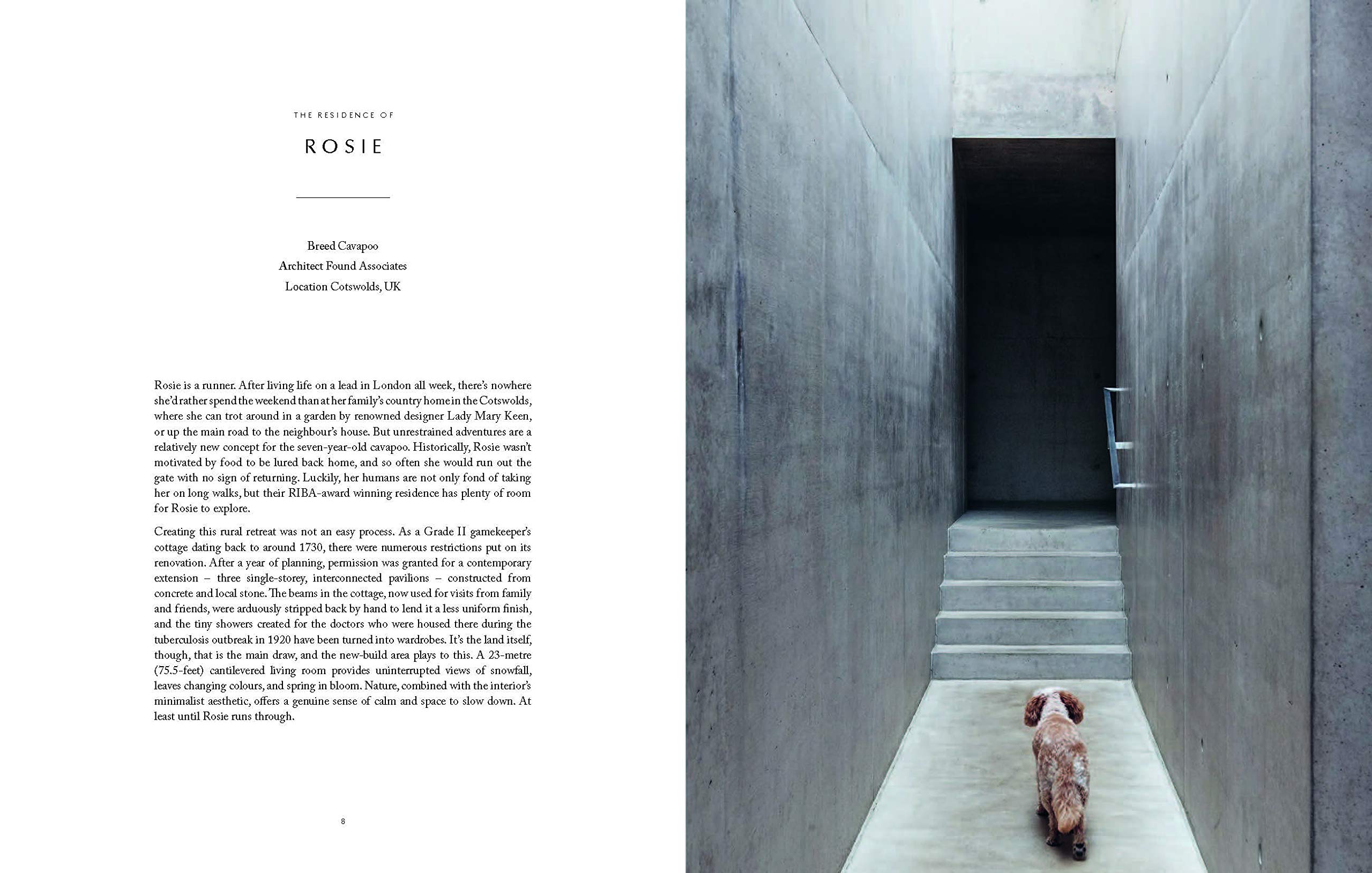 Resident Dog - Volume 2