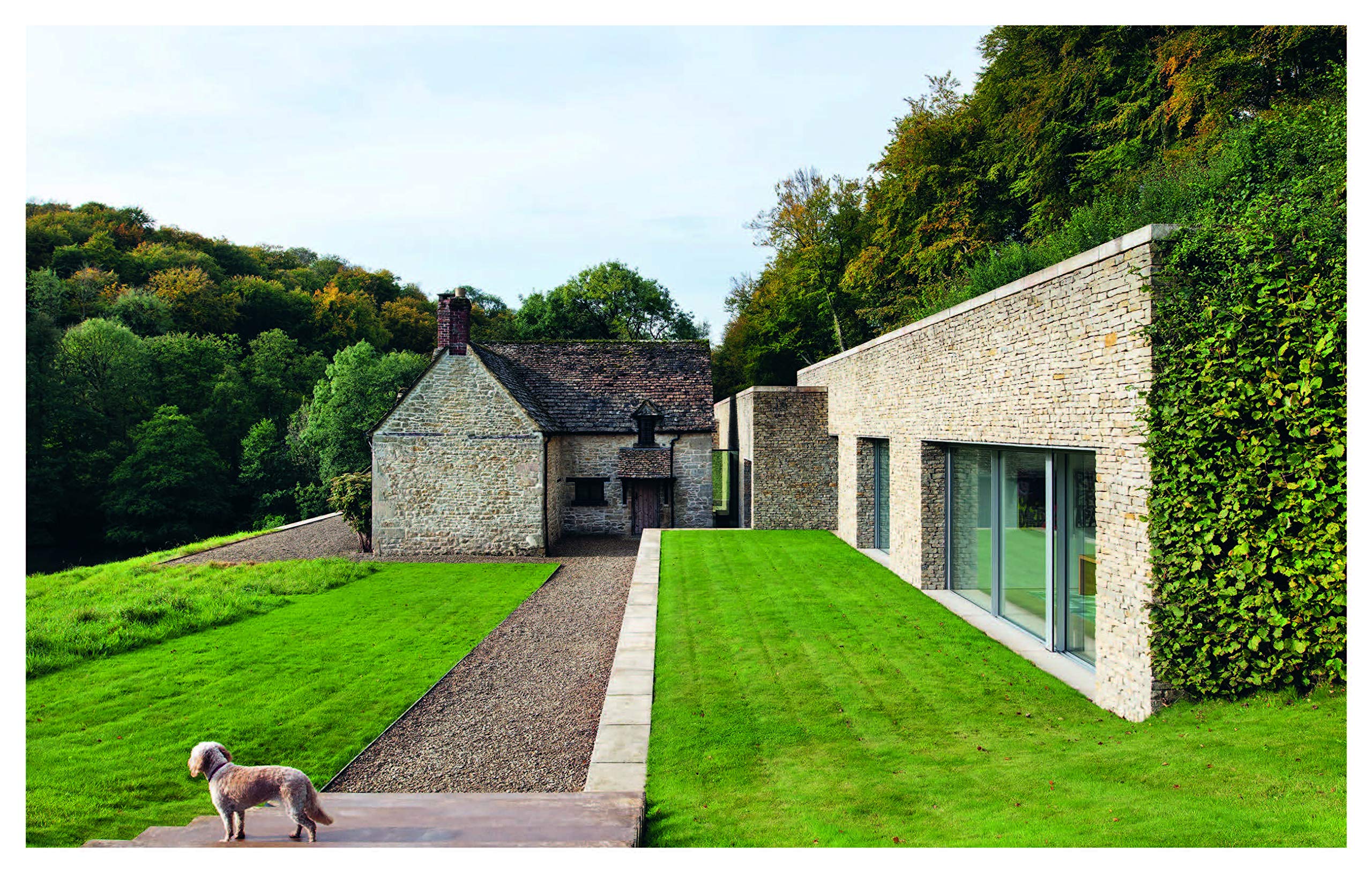 Resident Dog - Volume 2