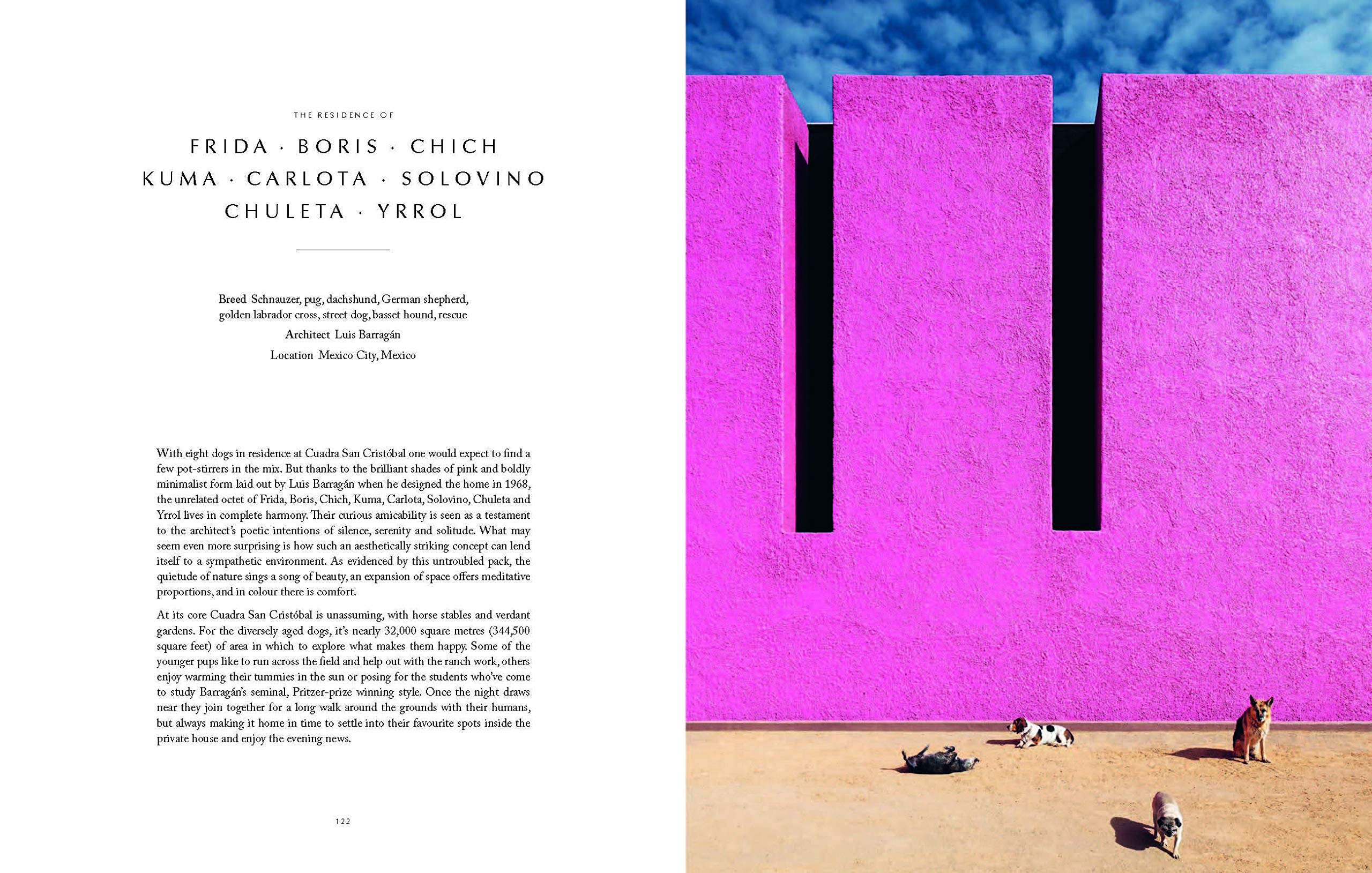 Resident Dog - Volume 2