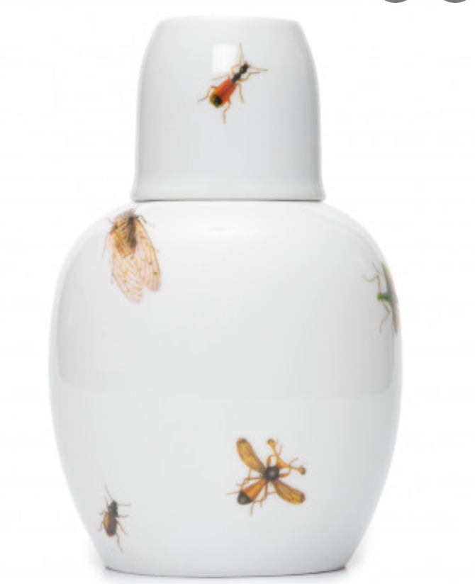 Insects Ceramic Water Jug | Urben Gifts & Gadgets