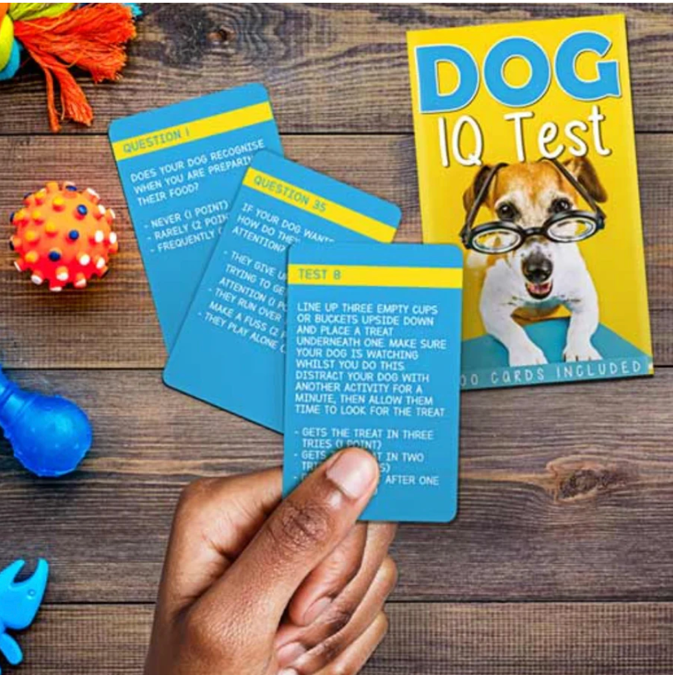 Dog IQ Test
