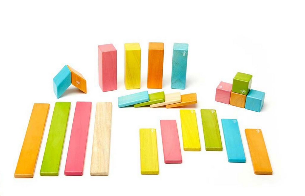 24 Piece Tegu Magnetic Wooden Block Set