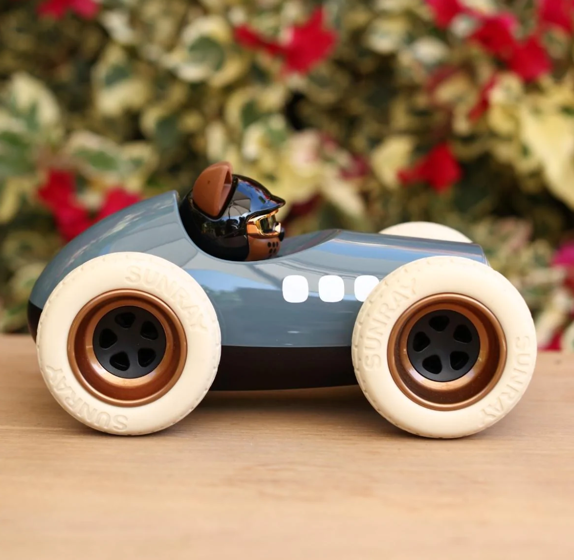 Roaster Car