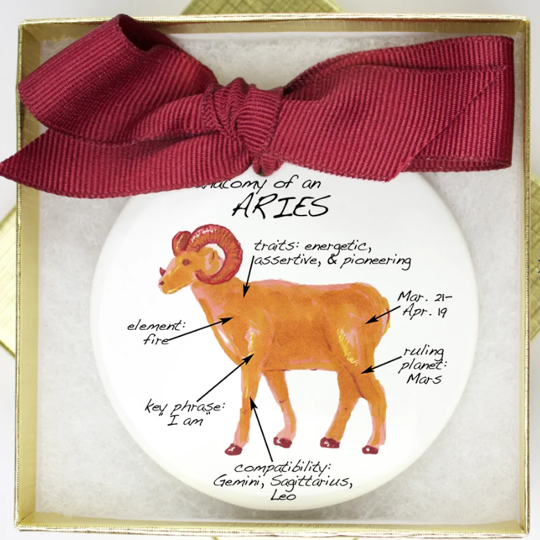 Zodiac Anatomy Ornament