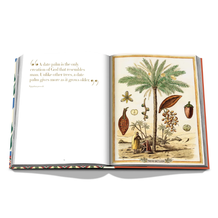 Saudi Dates: A Portrait of the Sacred Fruit